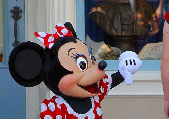 Turista pede Minnie Mouse em casamento