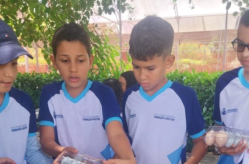 Escola de Campo de Arapiraca bate recorde e produz 9.500 ovos por mês