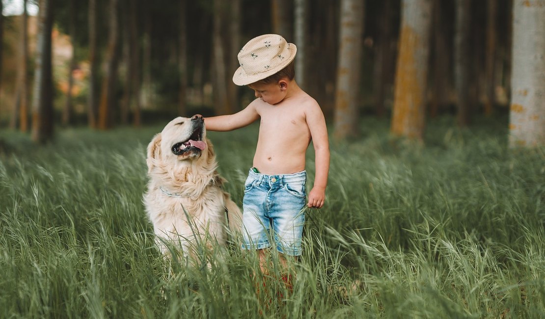 Brincadeiras que aproximam crianças e pets durante as férias