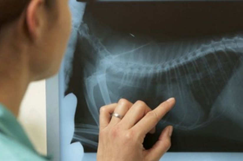 Inédito: Alagoas terá curso em radiologia do tórax na prática clínica