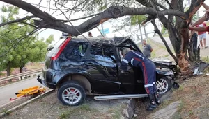 Motorista morre após bater em árvore na Grande Aracaju / Foto: Foto: PRF/SE