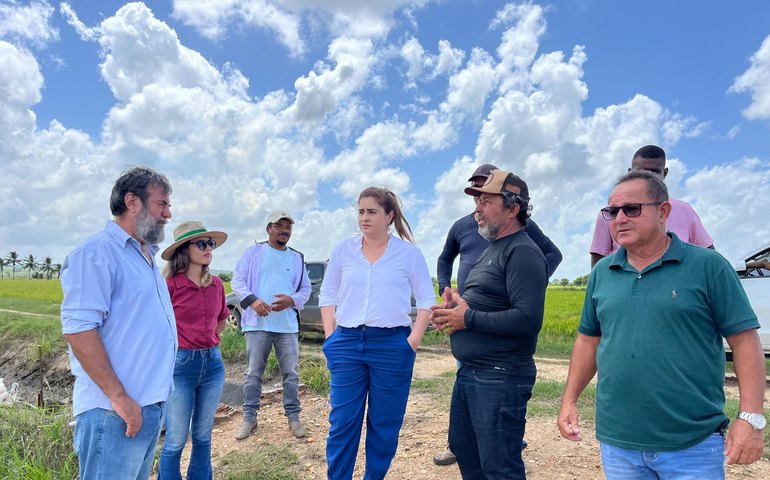Agricultura e Embrapa realizam missão técnica para fortalecimento da cadeia produtiva do arroz