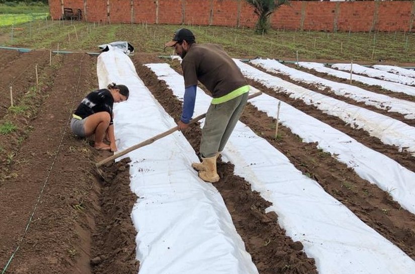 Prefeito em exercício Ronaldo Lessa visita residencial que será entregue a 500 famílias