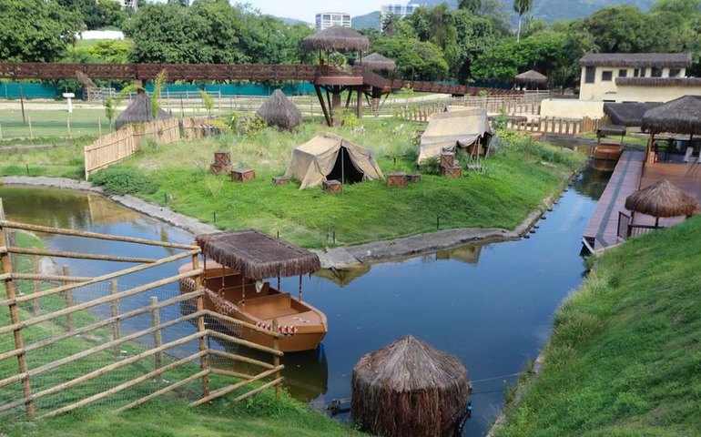 Gripe aviária mata galinhas-d'angola no Rio