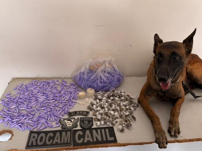 PM apreende drogas prontas para comercialização em Arapiraca