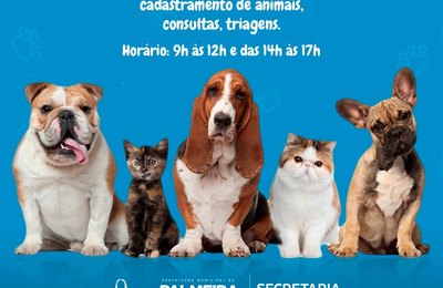 Pet Amigo atenderá o bairro Alto do Cruzeiro, em Palmeira, neste mês de abril