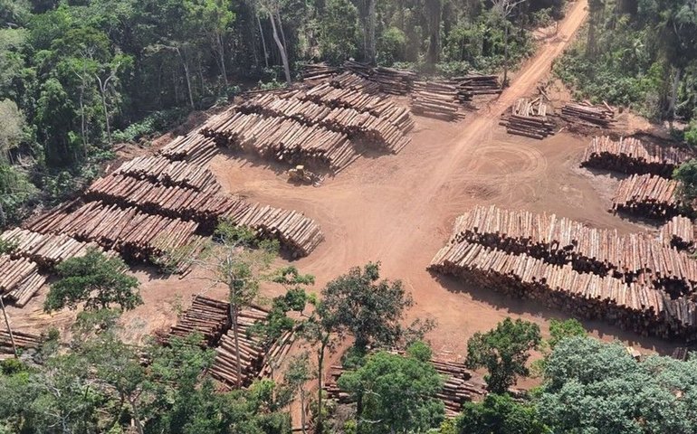 Mega operação na Amazônia apreende milhares de caminhões com madeira e fecha várias serrarias