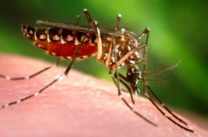 Ministério da Educação lança sexta-feira campanha nacional em Arapiraca