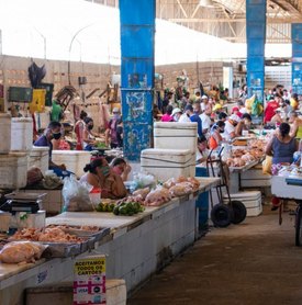 Confira o funcionamento de feiras e mercados públicos no feriado de Nossa Senhora dos Prazeres