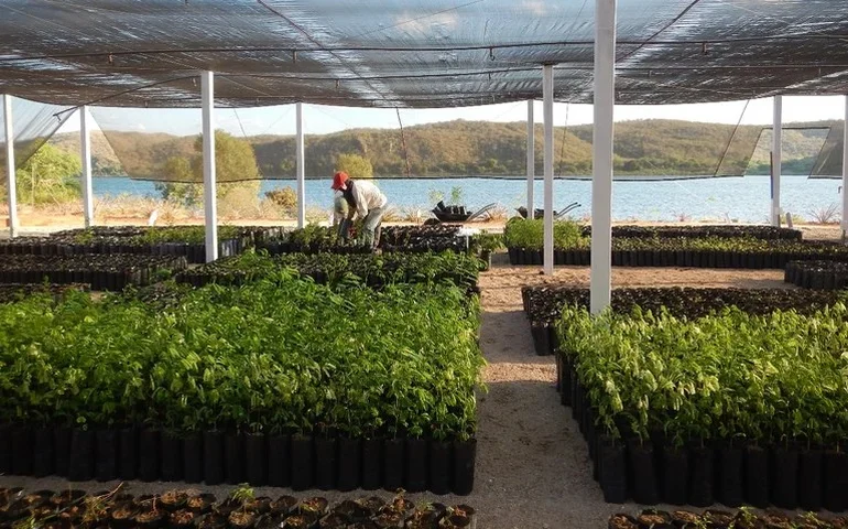 Projeto coordenado pela Ufal Penedo aprova investimento de R$ 2,5 milhões