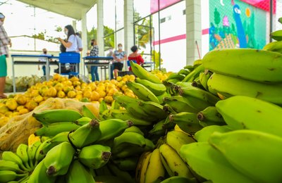 Educação de Penedo informa entrega de kits da merenda escolar nas creches municipais