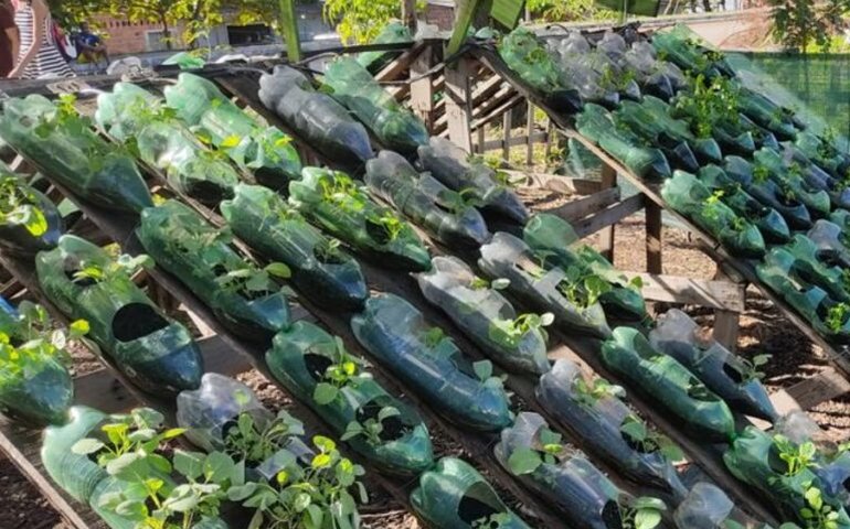 Dia da Biodiversidade: Sedics celebra o fortalecimento da sustentabilidade em Alagoas