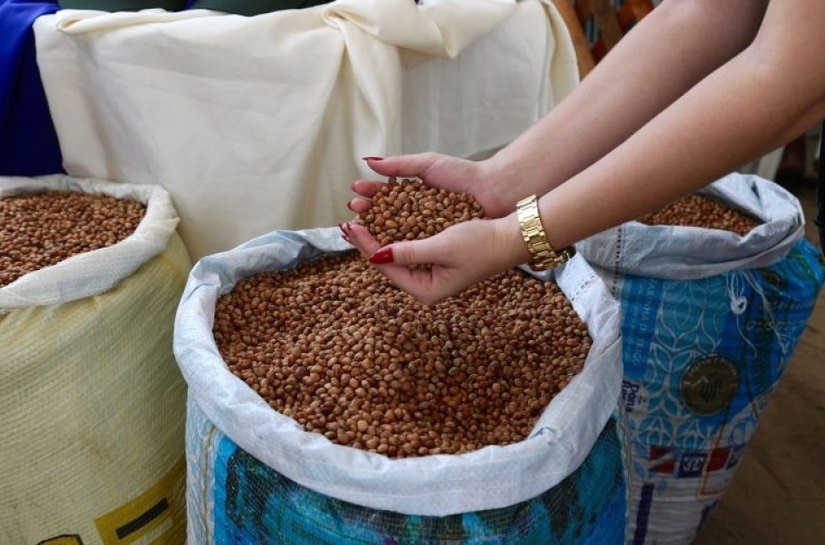 Prefeitura de Campo Alegre realizará o Lançamento da 13ª Edição do Projeto Barriga Cheia