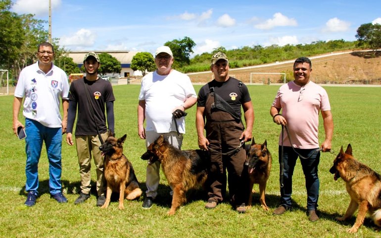 Arapiraca sediará 2ª Exposição da Raça Pastor Alemão do Norte e Nordeste do país