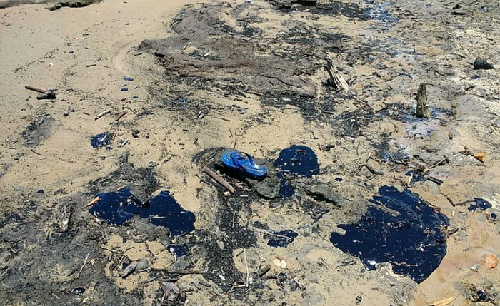 Resíduos de petróleo chegaram à foz do Rio São Francisco esta semana