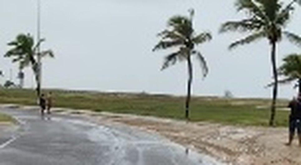 COBRA ATRAVESSANDO AVENIDA NA ORLA