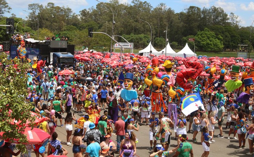 Carnaval paulistano terá mais de 800 desfiles oficiais de blocos