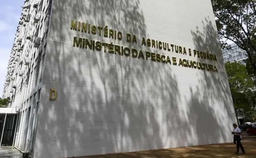 Ministério da Agricultura lança serviço de apoio às exportações do agro com relatórios