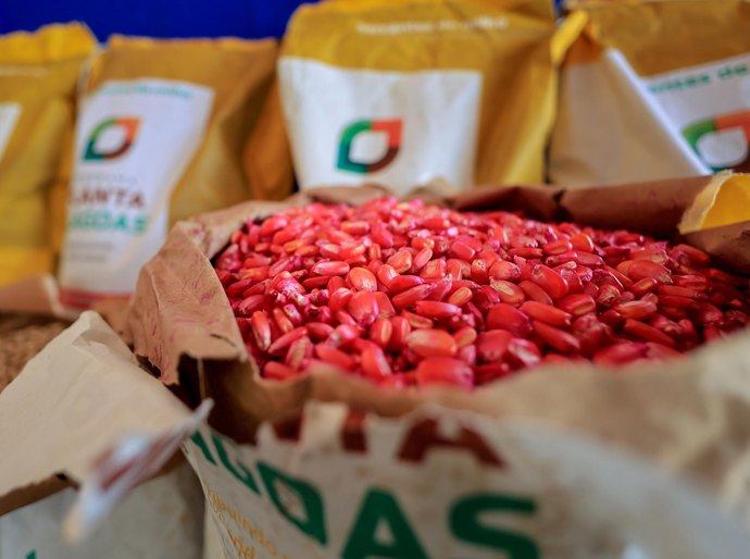 Governo de Alagoas investe mais de R$ 26 milhões em ações para agricultura familiar no primeiro semestre