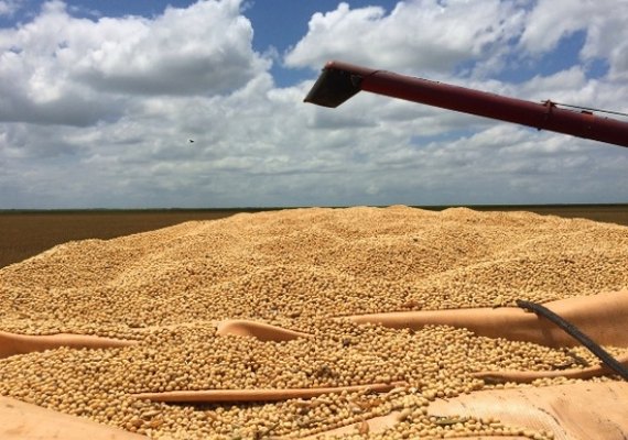 Seagri promove primeiro Seminário de Grãos em Alagoas