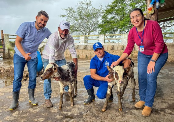Seagri e Conafer realizaram mais de 280 protocolos de inseminação em bovinos