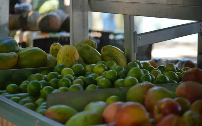 Governo anuncia 3ª edição do plano Nacional de Agroecologia e produção orgânica