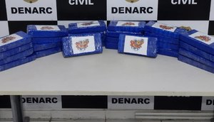 26kg de drogas denarc / Foto: Foto: Polícia Civil/ Divulgação