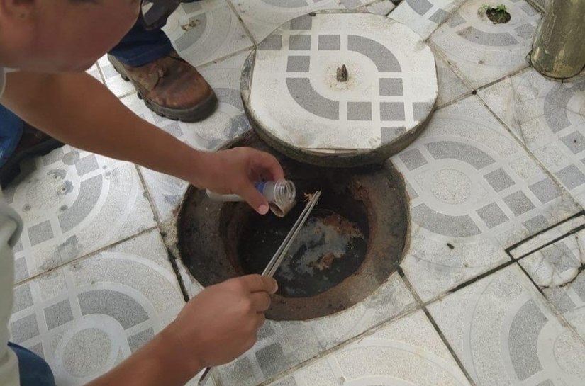 Saúde orienta população sobre prevenção e atendimento de picadas de escorpião em Maceió