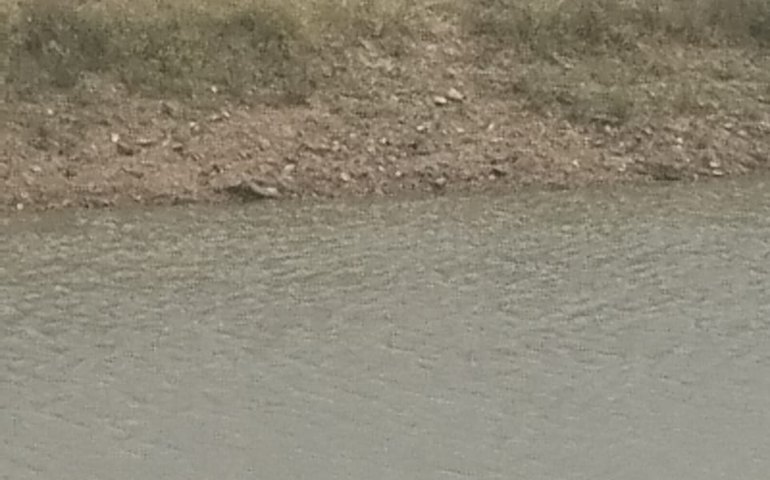 Corpo de homem é encontrado morto boiando em barragem de Girau do Ponciano