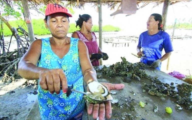 Alagoas vai sediar o I Seminário e Curso Internacional de Ostras