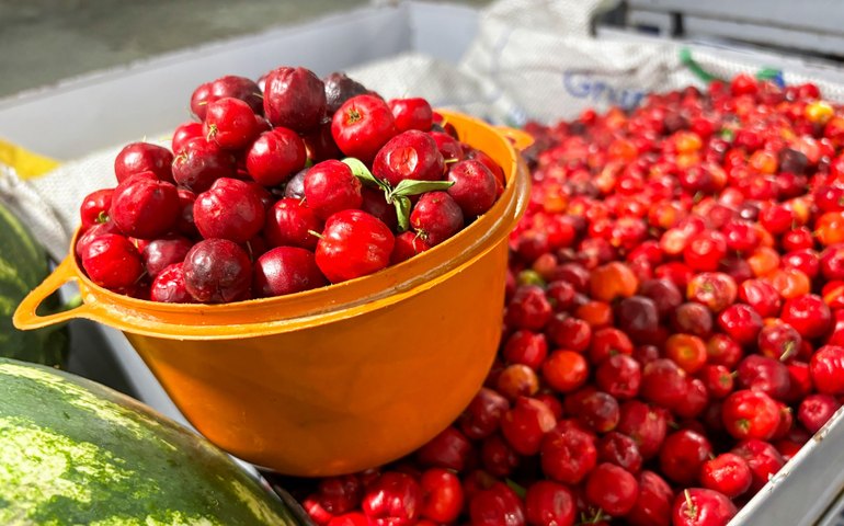 Maragogi sedia etapa Norte do Circuito Regional de Feiras