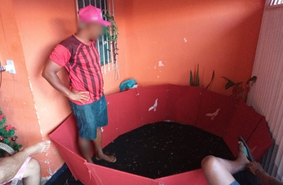 Rinha de galos é fechada na Zona Sul de Aracaju
