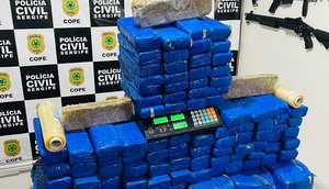 maconha / Foto: Foto: Polícia Civil