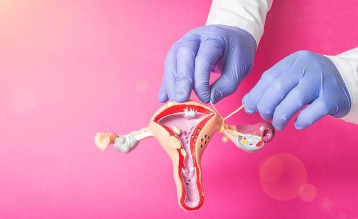 Com a nova legislação, homens e mulheres podem solicitar o procedimento contraceptivo sem a autorização prévia do cônjuge