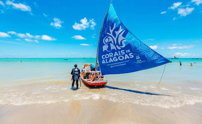 Projeto inicia fase de restauração ativa, com a reprodução de colônias saudáveis de corais em viveiros submersos