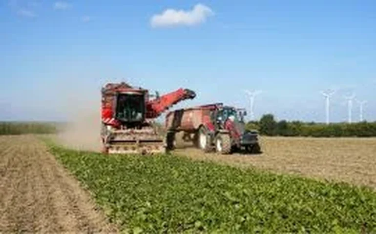 Agronegócio tem até dia 24 de fevereiro para garantir créditos fiscais já adquiridos