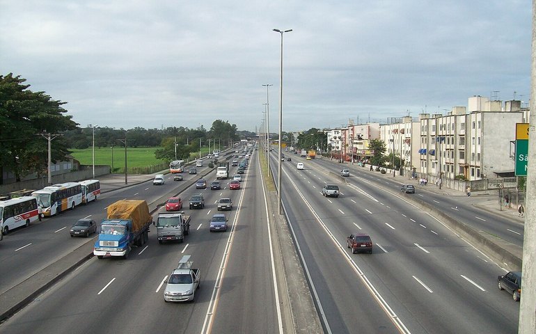 Égua do Exército avaliada em R$ 1 milhão morre atropelada por carreta no Rio