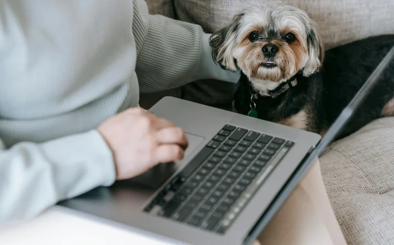 Gastos com pets seguem fora do Imposto de Renda em 2026