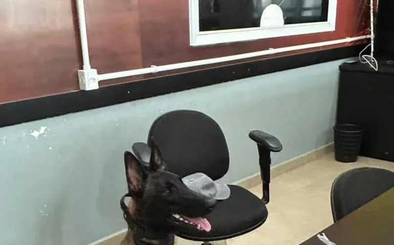 Cão Apolo localiza entorpecentes escondidos no Lago Juca Sampaio