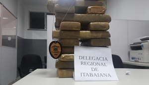 maconha apreendida