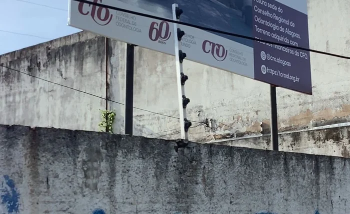 Terreno do CRO, onde será construída a nova sede do conselho Terreno do CRO, onde será construída a nova sede do conselho