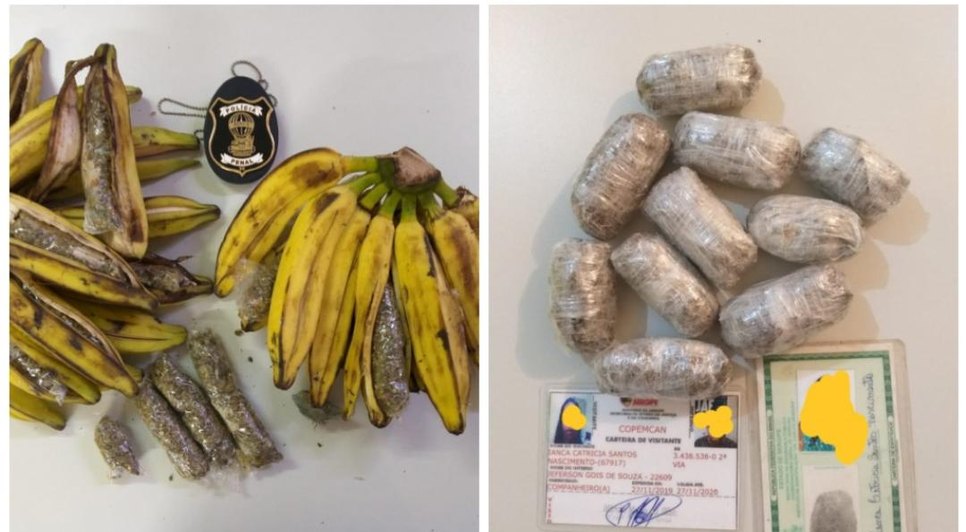 DROGAS ESCONDIDAS BANANA BISCOITO / Foto: Sejuc