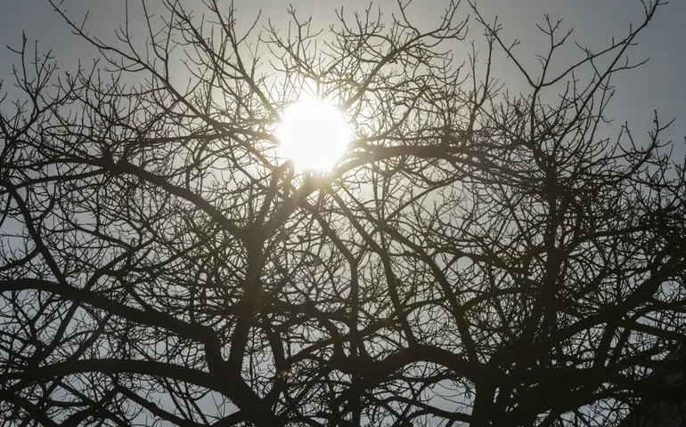 Alerta Amarelo no Sertão: Inmet avisa que umidade pode cair a 20% em 16 cidades; risco de incêndios e problemas respiratórios aumenta