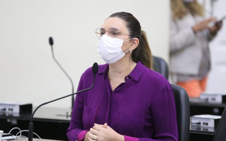 ALE derruba veto a PL que desburocratiza acesso de pequenos produtores à isenção de ICMS na conta de energia