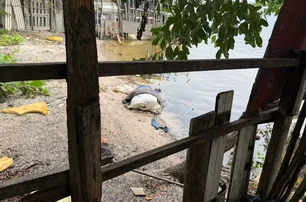 Corpo nas margens da lagoa Mundaú. Imagem: Walter Santos 