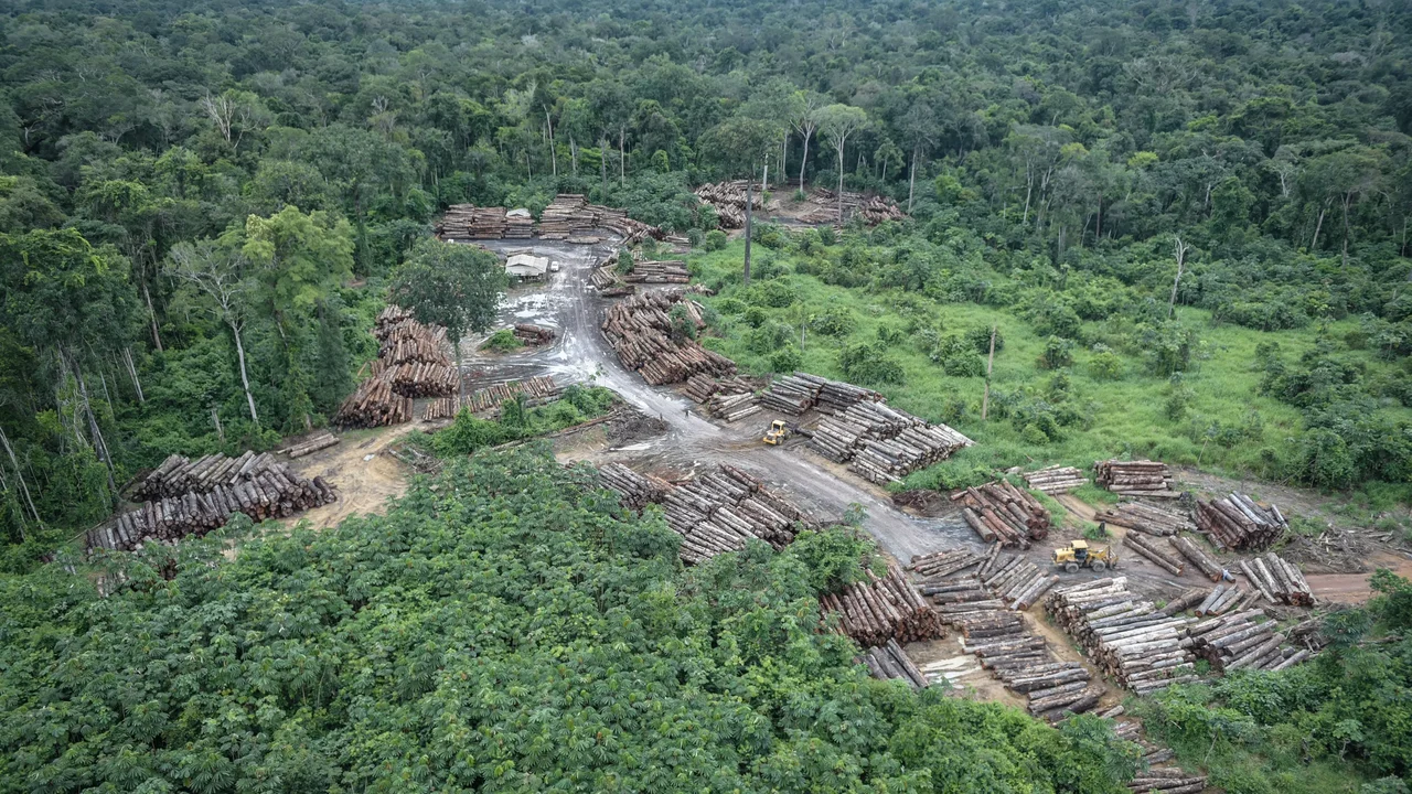 Observatório acha 1.692 fazendas sobrepostas a terras indígenas