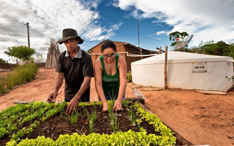 Garantia-Safra deve injetar quase R$ 33 milhões na economia alagoana em 2025