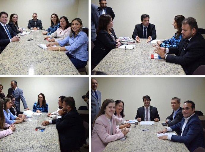 Comissões técnicas da ALE já elegem presidentes e vice-presidentes