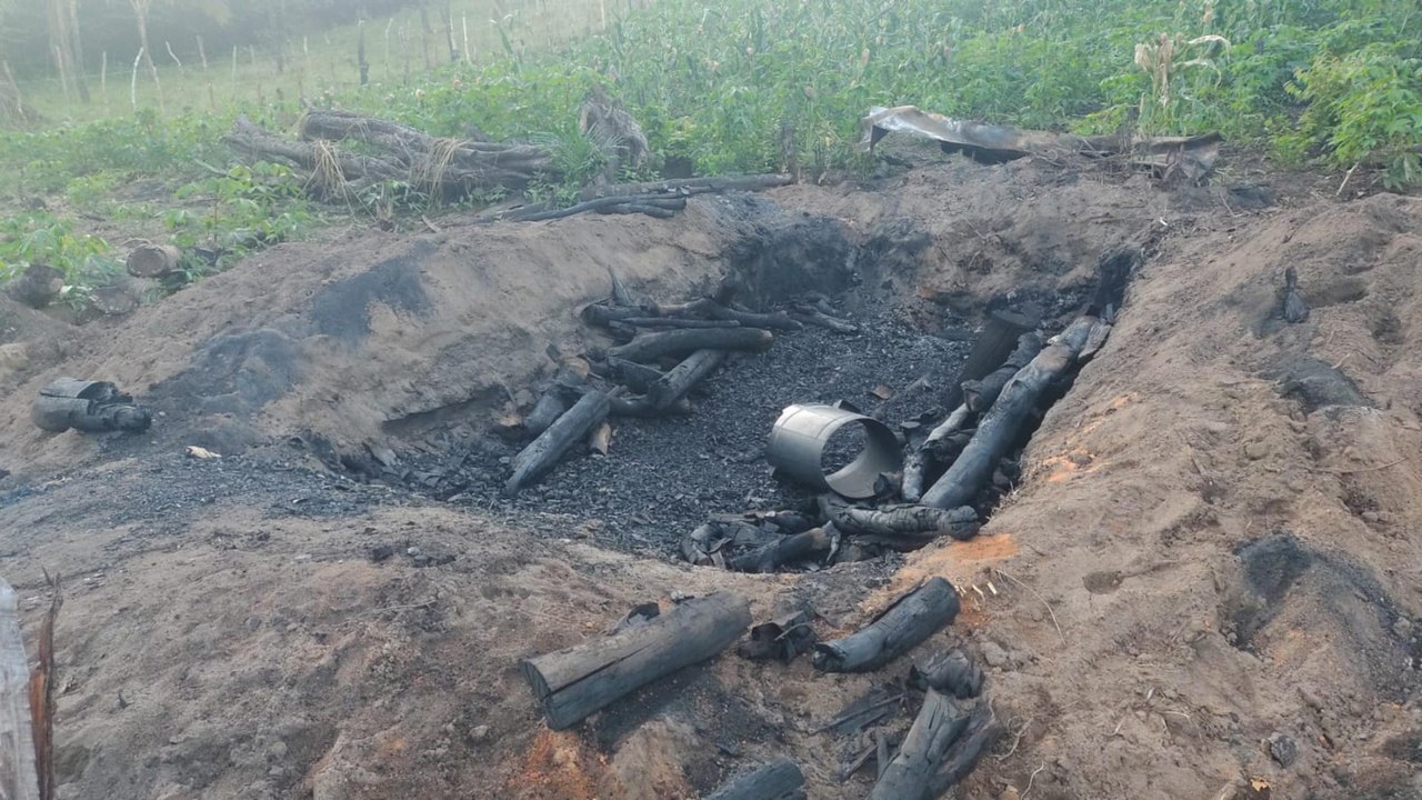 Operação Protetor dos Biomas intensifica combate a crimes ambientais em Alagoas