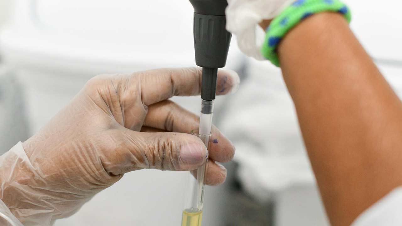 Quase 300 hemofílicos têm acesso a assistência integral do Hemocentro de Alagoas
